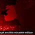 Van da kaçak avcılıkla mücadele ediliyor