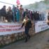 Bodrum Deve Güreşi Festivali’ne büyük ilgi Bodrum Deve Güreşi Festivali’ne büyük ilgi