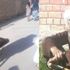 120 yaşındaki Taliban mensubu serbest bırakıldı 120 yaşındaki Taliban mensubu serbest bırakıldı