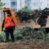 Ağaç katliamına önce izin verdi sonra vazgeçti Ağaç katliamına önce izin verdi sonra vazgeçti
