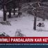 Karın tadını pandalar çıkardı