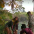 Survivor All Star 64. bölüm tanıtımı! Açlık oyunları...