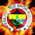 Fenerbahçe'de Terraneo'nun yerine Rapaic iddiası