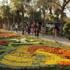 Bağdat'ta 'Çiçek Festivali'
