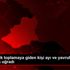 Kars ta erik toplamaya giden kişi ayı ve yavrularının ...