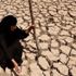 Irak'ın güneyi su sıkıntısıyla karşı karşıya