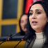 HDP'ye paralel sızıntı
