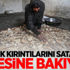 Gazzeli kadın ekmek kırıntılarını satarak ailesine bakıyor Gazzeli kadın ekmek kırıntılarını satarak ailesine bakıyor