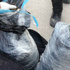 80 kilogram esrar ele geçirildi. 80 kilogram esrar ele geçirildi.