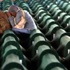 "Srebrenitsa Soykırımı" ABD Kongresi'nde
