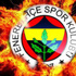 Fenerbahçe'ye birde sakatlık şoku!