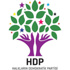 HDP, adaylar için 'tek eşlilik' kriterini ihlal mi etti?