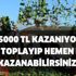 Ayda 5000 bin lira kazanıyorlar! Ülkemizde bol bol var! Sizde toplayıp hemen para kazanabilirsiniz