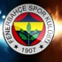 Fenerbahçe'nin lig tarihindeki performansı Fenerbahçe'nin lig tarihindeki performansı
