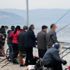 Balıkçılar oraya akın etti
