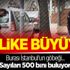 Tehlike giderek büyüyor! Sokaklarda 500 bin zombi... Tehlike giderek büyüyor! Sokaklarda 500 bin zombi...