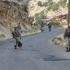 PKK operasyonunda yakalananlardan 2 kişi tutuklandı PKK operasyonunda yakalananlardan 2 kişi tutuklandı