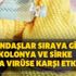 Vatandaşlar sıraya girdi! Kolonya ve sirke Korona virüse karşı etkili mi? Vatandaşlar sıraya girdi! Kolonya ve sirke Korona virüse karşı etkili mi?