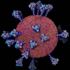 Koronavirüsün insan hücresine girdiği an ilk kez bu kadar net görüldü