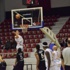 Türkiye Basketbol Ligi
