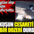 ﻿Anne kuşun cesareti koca bir dozeri durdurdu