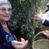 Prof. Dr. Canan Karatay: Suç diyetisyenlerin