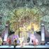 Uluslararası Aspendos Opera ve Bale Festivali başlıyor Uluslararası Aspendos Opera ve Bale Festivali başlıyor