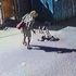 Çocuğuna sokak ortasında şiddet uygulayan kadın adli kontrol şartıyla serbest bırakıldı Çocuğuna sokak ortasında şiddet uygulayan kadın adli kontrol şartıyla serbest bırakıldı