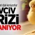 Tavuk yetiştiricilerinden Banvit'e tehdit Tavuk yetiştiricilerinden Banvit'e tehdit