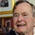 Baba Bush düştü