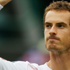 Murray'den 500'üncü galibiyet Murray'den 500'üncü galibiyet