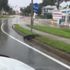 Florida'da karşıdan karşıya geçen timsah trafiği durdurdu