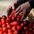 Türkiye-Rusya restleşmesinin faturası 1 milyar dolar oldu Türkiye-Rusya restleşmesinin faturası 1 milyar dolar oldu