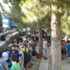 AFAD Başkanı Suriyeliler için İzmir'e gidiyor