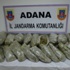Adana’da Uyuşturucu Satıcılarına 3 Tutuklama