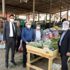 Üreticinin imdadına kooperatif yetişti