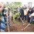 Viranşehir’de Akyürek Tema Vakfı İle Ağaç Dikti Viranşehir’de Akyürek Tema Vakfı İle Ağaç Dikti