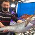 6 kiloluk dev mezgidi görenler gözlerine inanamadı 6 kiloluk dev mezgidi görenler gözlerine inanamadı