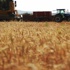 FAO : Küresel gıda fiyatları 6 yılın en düşük düzeyine geriledi FAO : Küresel gıda fiyatları 6 yılın en düşük düzeyine geriledi