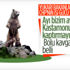 Bolu'ya 10 metrelik bozayı heykeli yapılacak