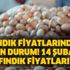 Fındık fiyatlarında son durum! Güncel 14 Şubat fındık fiyatları! Fındık fiyatlarında son durum! Güncel 14 Şubat fındık fiyatları!