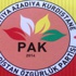 Kürdistan partisi için flaş karar