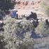 Tunceli'de halkın onaylamadığı peyzaj çalışması başlıyor: Askeri araçlar Munzur Gözeleri’nde Tunceli'de halkın onaylamadığı peyzaj çalışması başlıyor: Askeri araçlar Munzur Gözeleri’nde