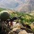 Tunceli'de 11 terörist etkisiz hale getirildi
