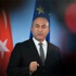 Dışişleri'nde 'fahri' krizi: İşte yetkileri yenilenmeyen ünlü işadamları Dışişleri'nde 'fahri' krizi: İşte yetkileri yenilenmeyen ünlü işadamları