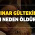 Pınar Gültekin son dakika öldü mü? Kim, neden öldürdü? Pınar Gültekin kimdir, nereli kaç yaşında?