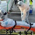 Ebola virüsünden 8 bin kişi öldü