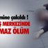"Azerbaycan Halk Dansları" Topluluğu Gösterisi