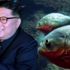 Son dakika… Kim Jong-un, generalini piranalara yedirdi