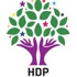 HDP'den çok kritik seçim anketi açıklaması!